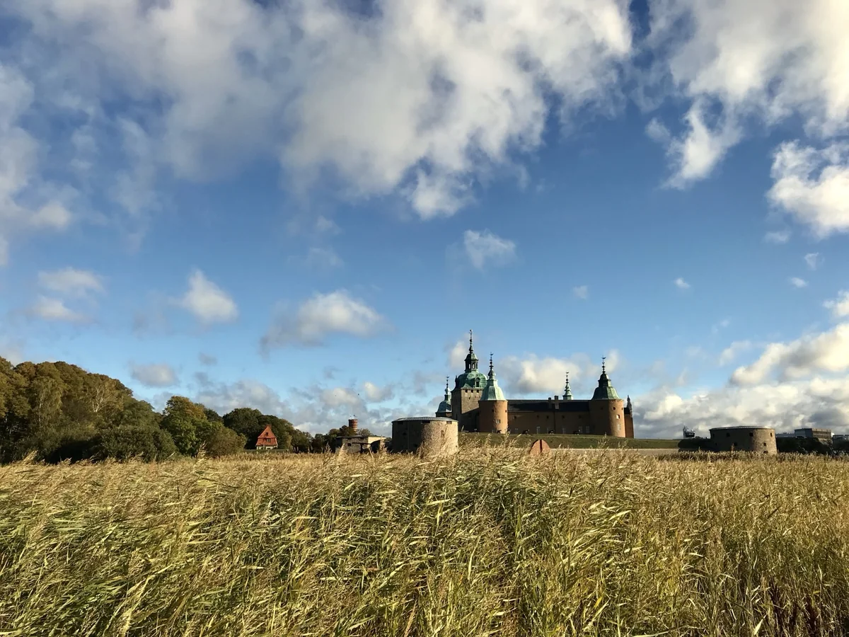 Kalmar Castle beyond reeds